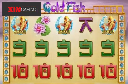 Gold Fish